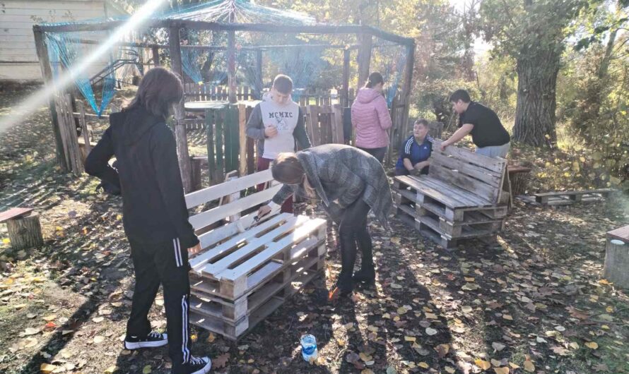 Обогаћени једносменски рад