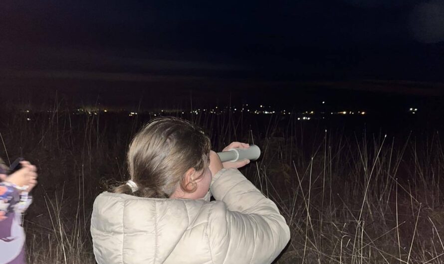 Обогаћени једносменски рад – астрономско вече