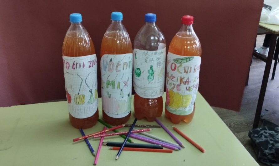 Обогаћени једносменски рад – Сируп