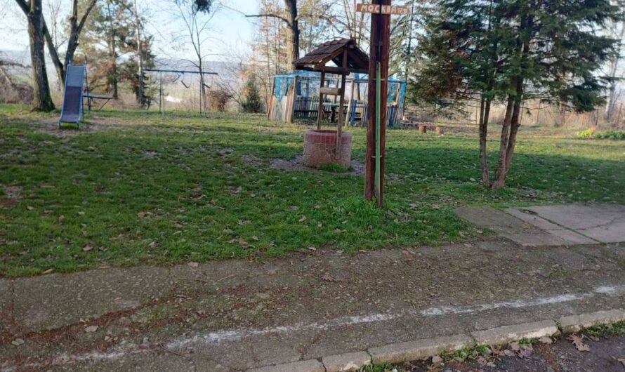 Чишћење дворишта