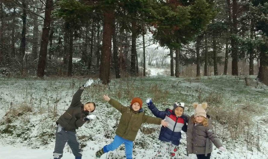 Зимске чаролије